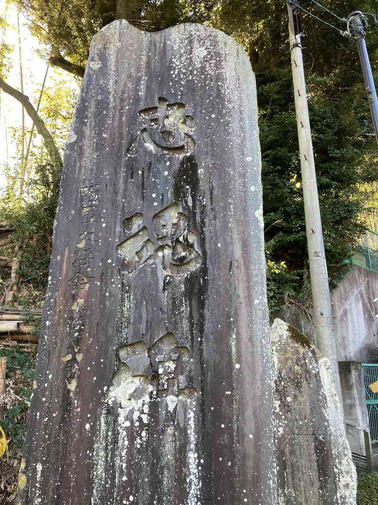 D56fcbcb e404 47c9 8dfe 9a47ec3e0834.jpeg m