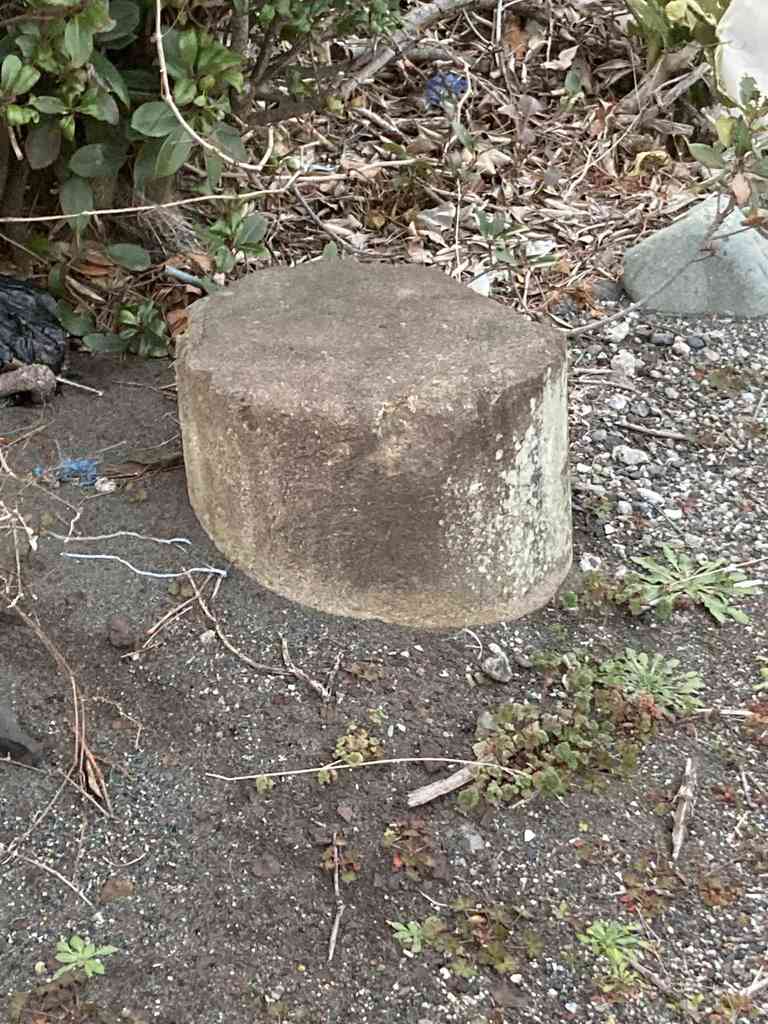 0e110b96 4586 4b25 993b 2bc8755b68bc.jpeg m