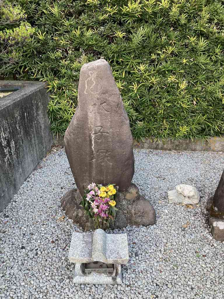 0adcaee5 9b47 4fe6 9fb6 b36694ab27a3.jpeg m