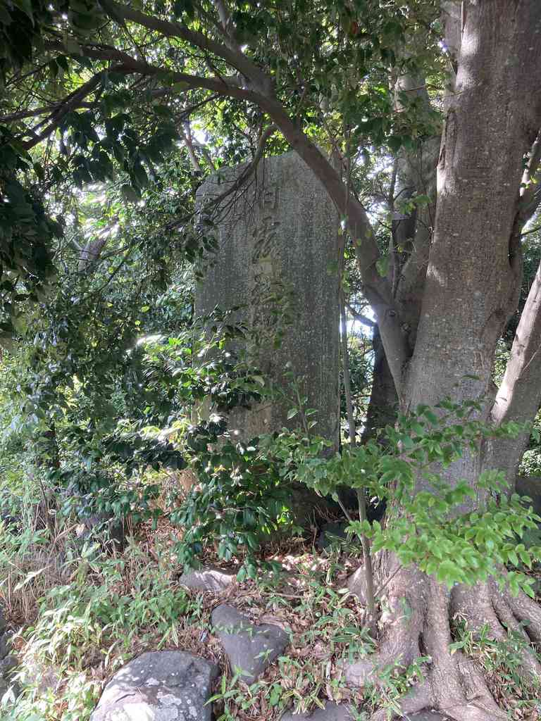 Img 7588.jpeg m