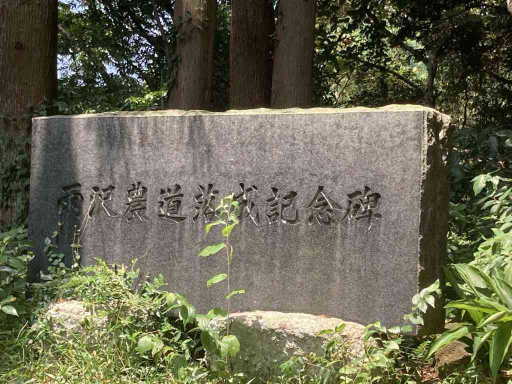 Img 7775.jpeg m