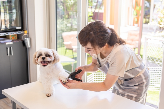 爪切りを嫌がる愛犬への対処法