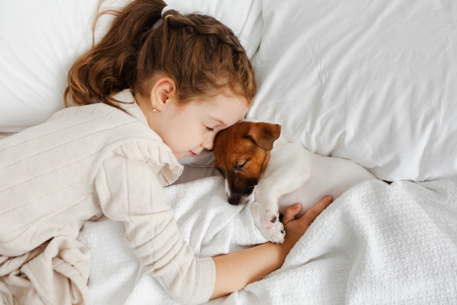 3社をどう選ぶ？ペット世帯の目的別インフラの考え方