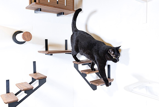 猫の上下運動をサポートする「animacolle キャットステップ」