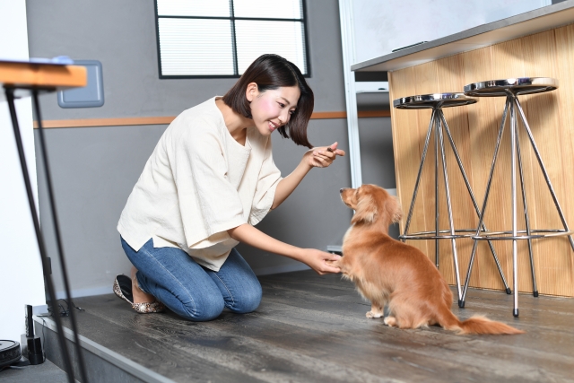 マンションで犬の鳴き声によるトラブルを防いで快適に暮らそう
