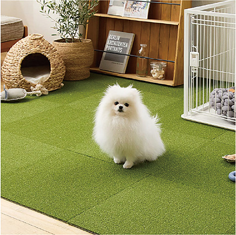 芝生のような心地よさを室内で楽しめる「shiba-cocochi」
