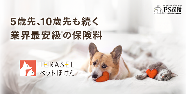 医療費への備えとしてのTERASELペットほけん