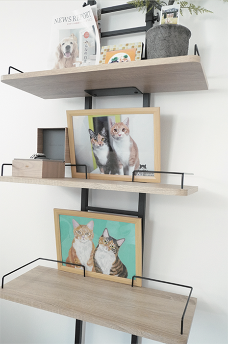 ディスプレイ棚