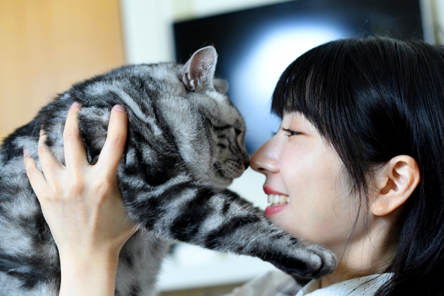 ペット保険の加入が向いている人・向いていない人