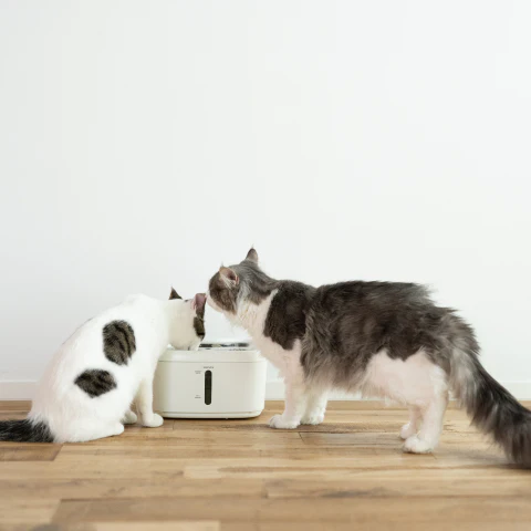 【miruto】モニタリング自動給水器