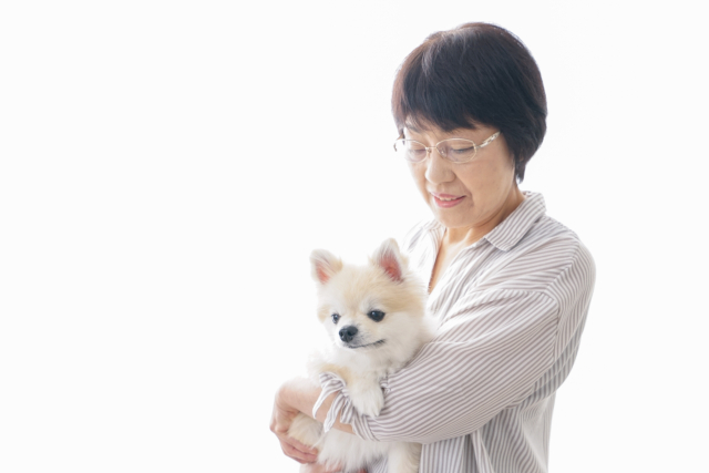 犬を飼えなくなったら保健所に出すしかないの？