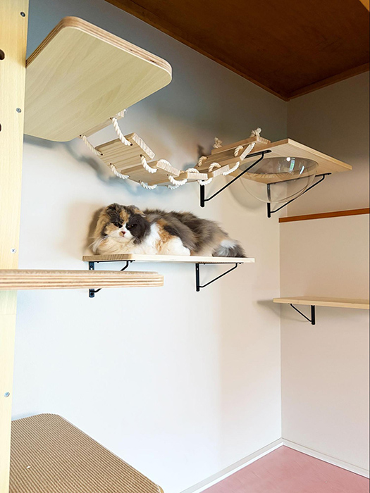 押し入れは壊さず、猫の城に