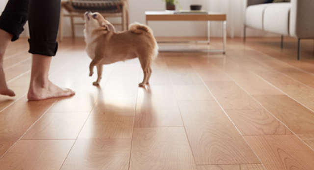 暮らしに合わせて選びたい！豊富なシリーズ展開