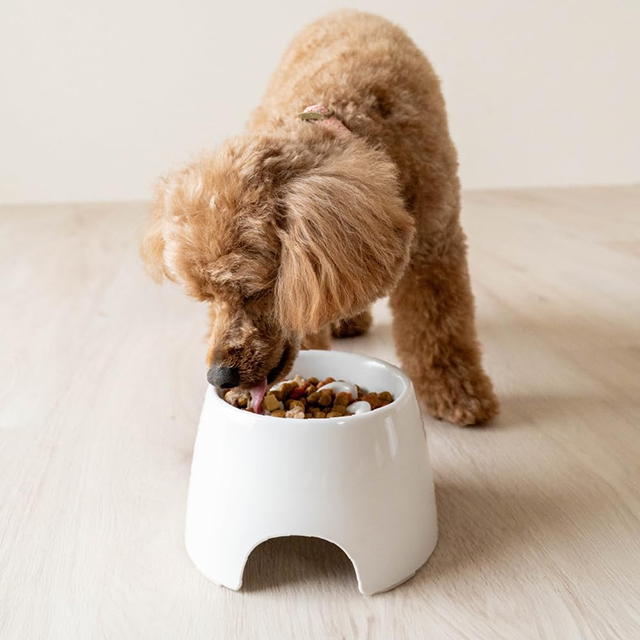 早食い防止もできる「リッチェル 高さ調整付きフードボウル」
