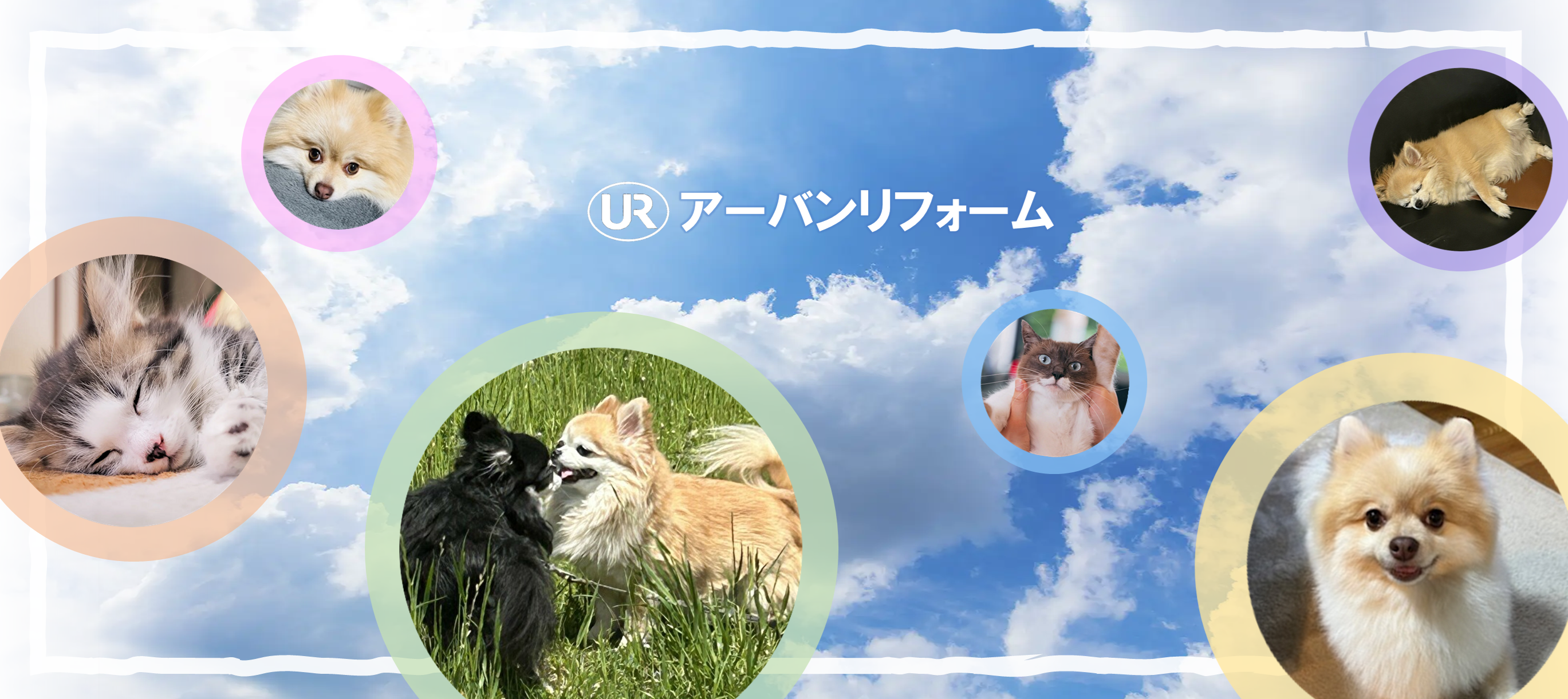 サンプル