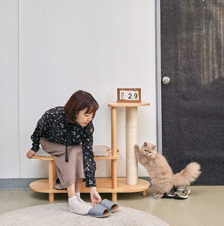 猫との暮らしに取り入れやすい「TRINEST シューズスツール」