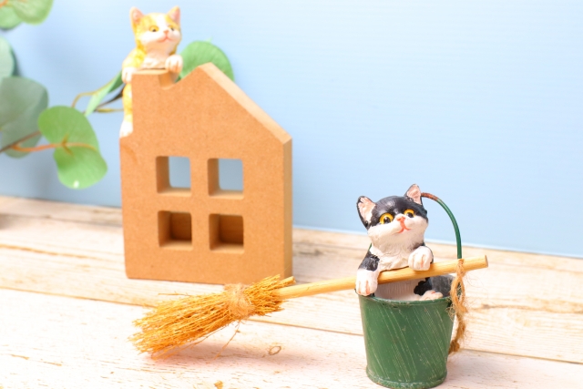 猫がいる家の大掃除で注意すべき3つのリスク