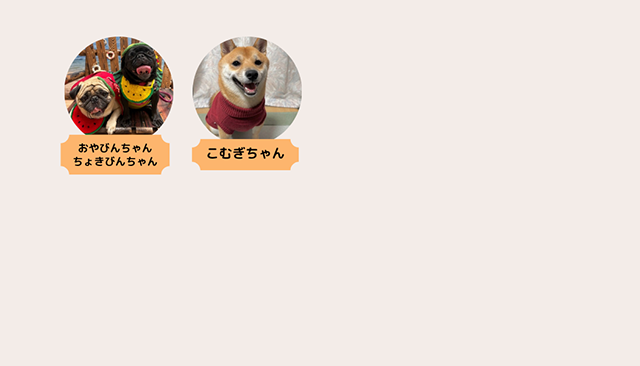部員紹介｜犬とのくらし部