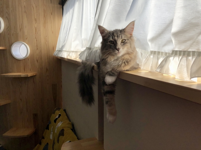夏でも快適に過ごせるお部屋づくりのポイント