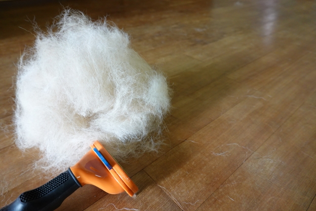 掃除の負担を軽減する住環境の工夫と床材選び