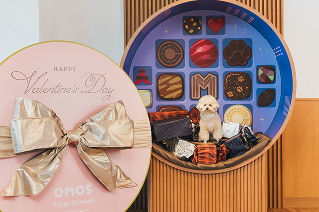 愛犬と楽しむ五反田スイーツ