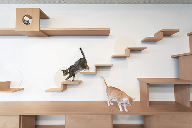 キャットウォーク・キャットステップで上下移動の動線をつくる