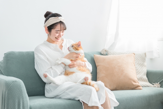 去勢後の猫と上手に向き合うために、飼い主さんができること・注意点