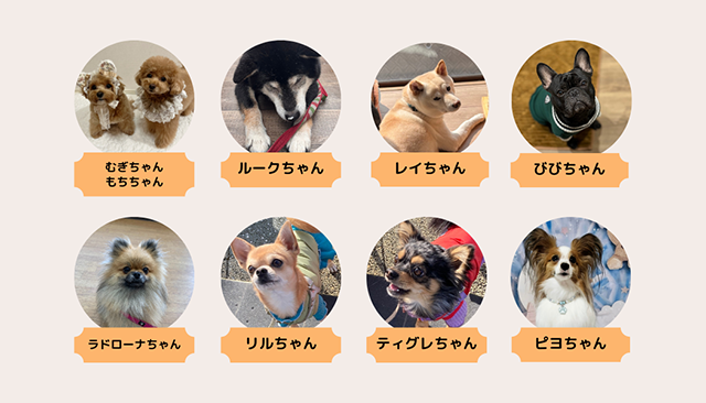 犬とのくらし部