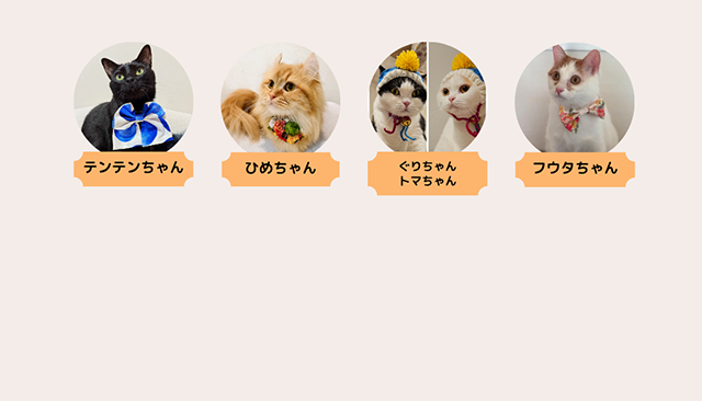 猫とのくらし部