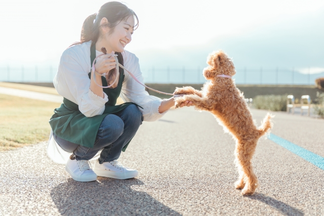トラブルを避けるペットシッター選びのポイント