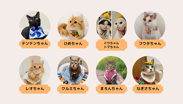 猫とのくらし部