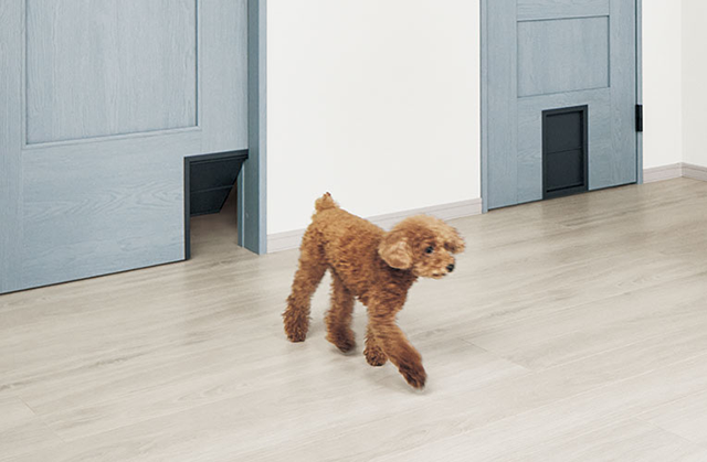 ペット用フローリング「ベリティスフロアー わんにゃんSmile」とは？AMILIEが注目する理由