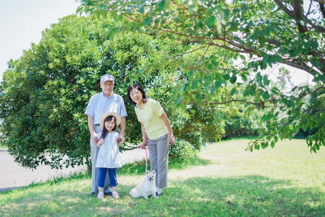 犬を手放す前に検討したい選択肢