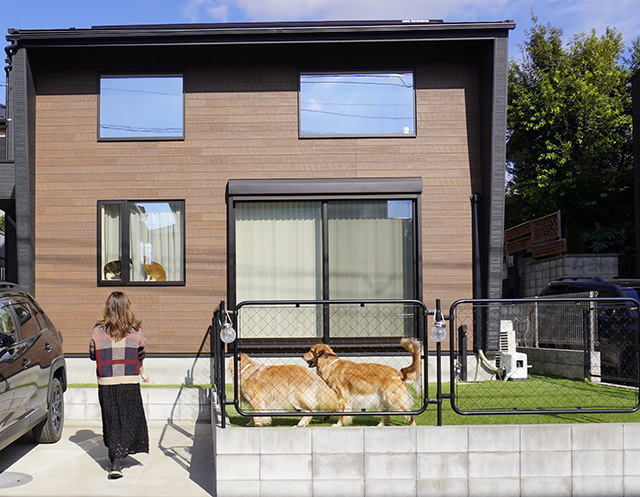 フェンス付きの庭を設け、犬たちがのびのびと過ごせる工夫も