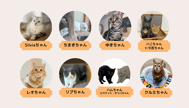 部員紹介｜猫とのくらし部