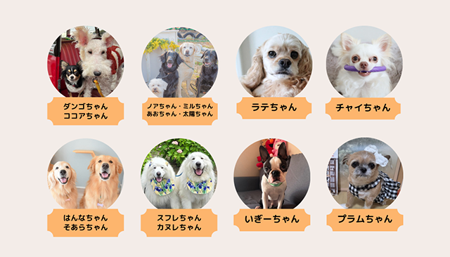 犬とのくらし部