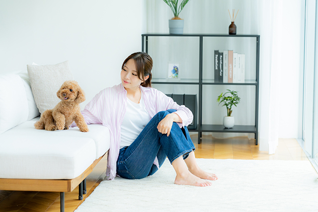 犬と暮らす家に加湿器・加湿空気清浄機が必要な理由