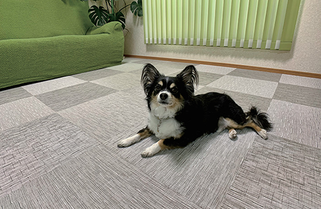 ReFace Tile（リフェイスタイル）