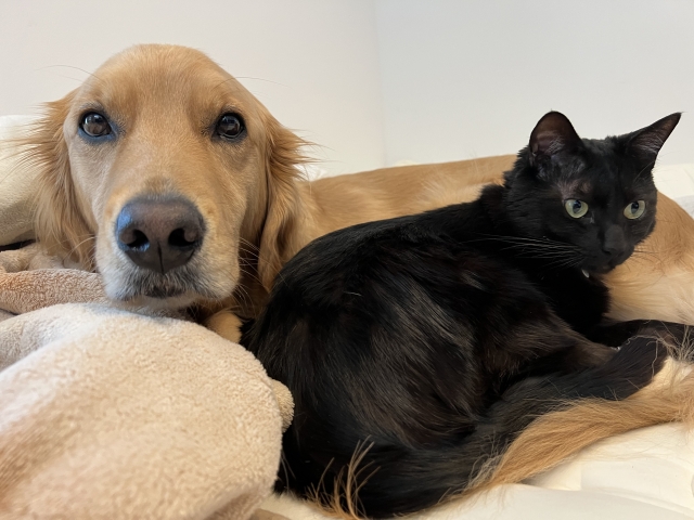 入院は「短期」と「長期」で分けて考えよう