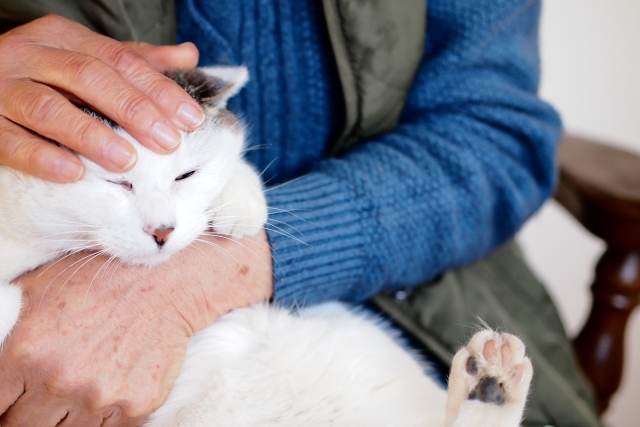 多頭飼育崩壊はどのように進むのか