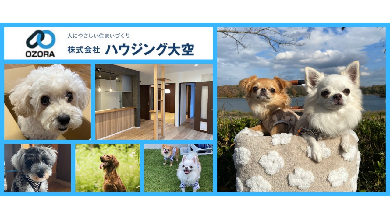 サンプル