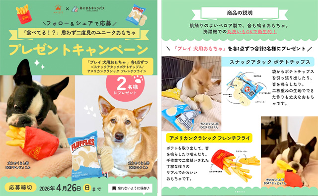チャビィくん（部員番号D047）/ ロイくん（部員番号D024）