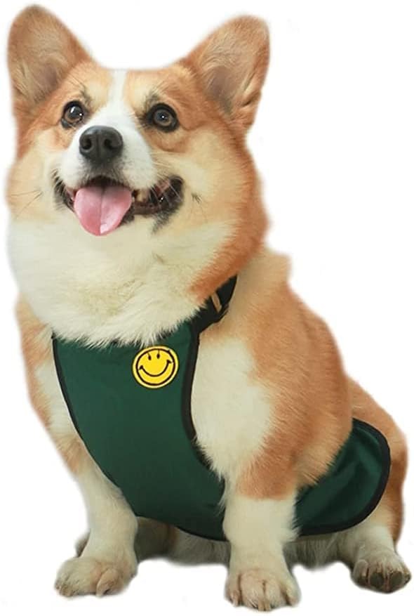 FSLMY｜お腹周りだけを保護できるレインエプロン