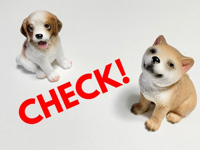 犬のフードボウルの選び方｜高さ以外にチェックしたいポイント