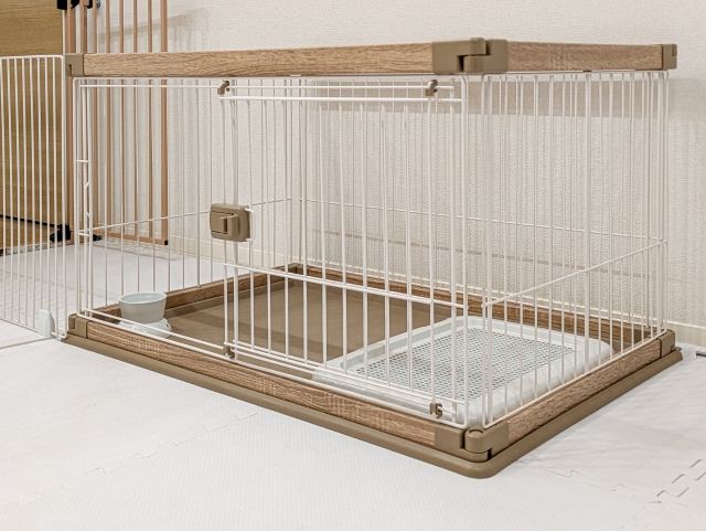 大型犬のトイレでよくある悩みと解決策