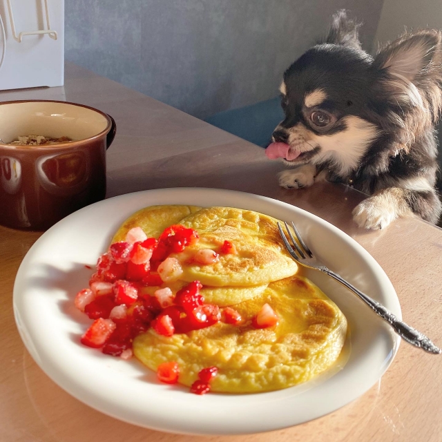 愛犬がおやつを欲しがるのはなぜ？