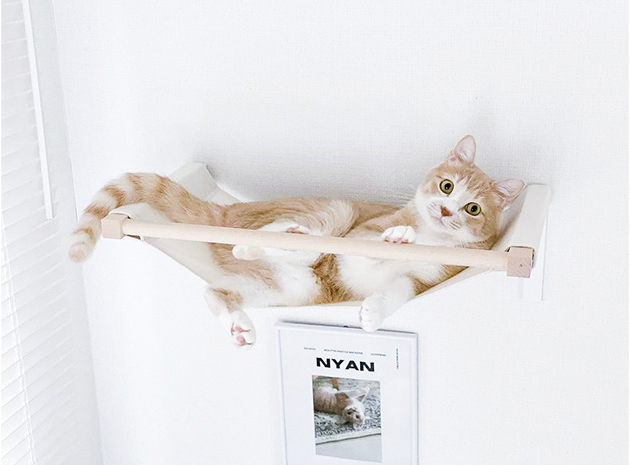 animacolleのキャットステップ