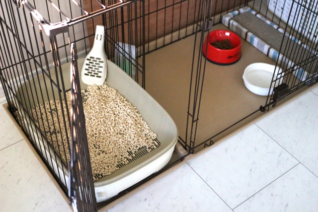 猫を飼い始める前に用意するもの
