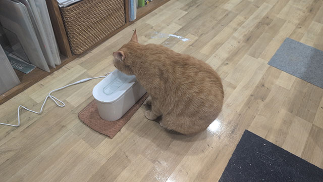 自動給水器の選び方｜3つのポイントをチェック！