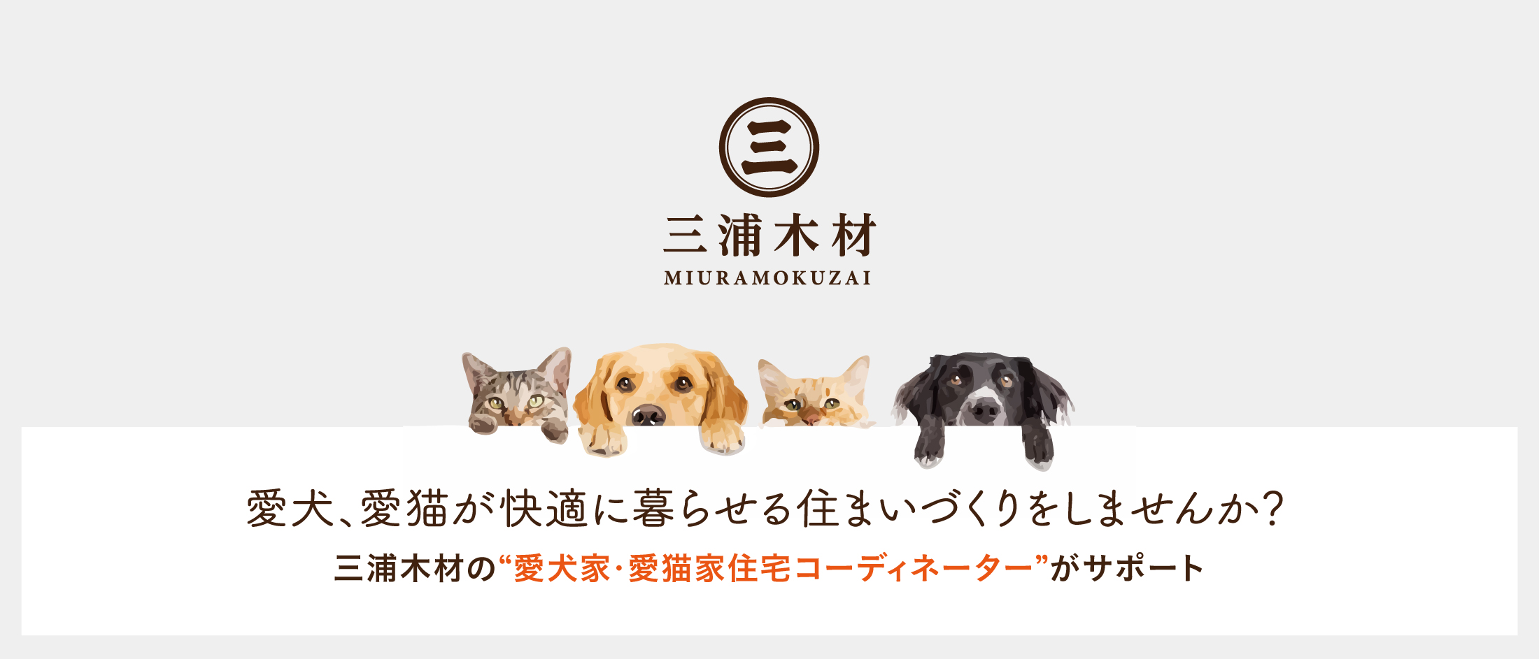 サンプル